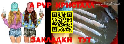 шишки Кингисепп