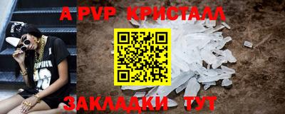 шишки Кингисепп