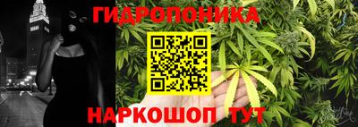 ALPHA PVP Кимры