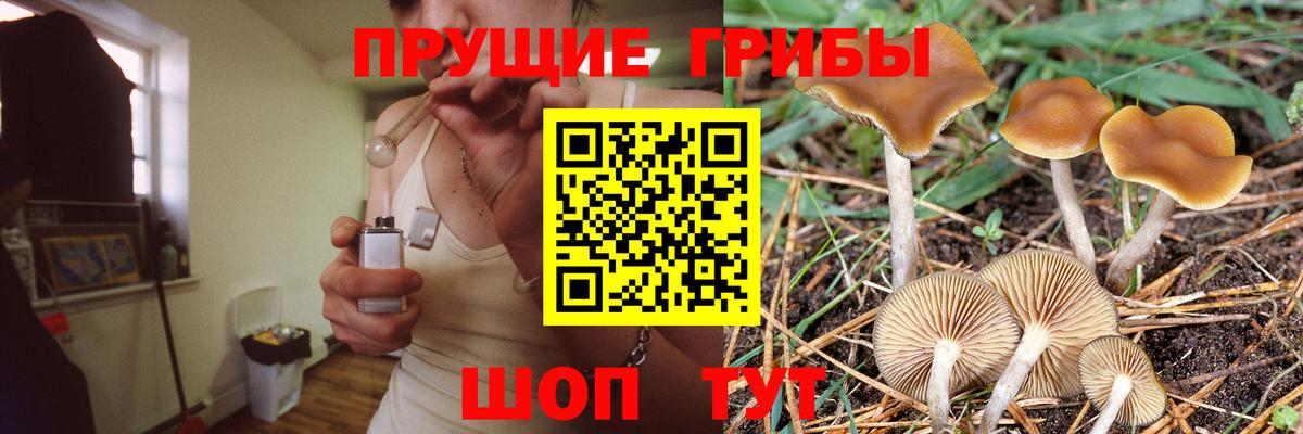 Псилоцибиновые грибы MAGIC MUSHROOMS  Галлюциногенные грибы прущие грибы  Лесосибирск  купить наркотики цена  Вход с VPN 